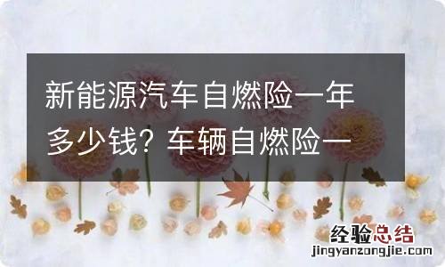 新能源汽车自燃险一年多少钱? 车辆自燃险一年多少钱