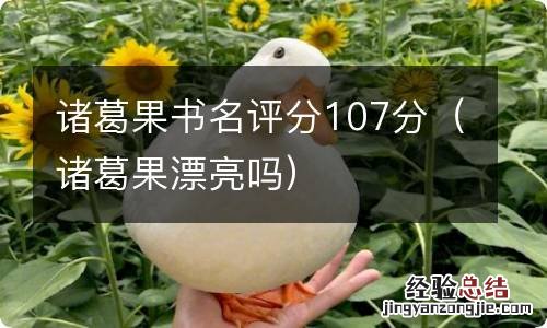 诸葛果漂亮吗 诸葛果书名评分107分