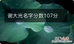 谢大光名字分数107分