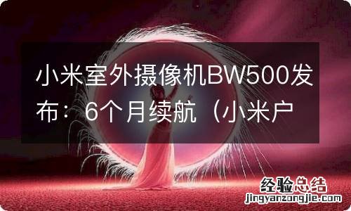 小米户外摄像机 小米室外摄像机BW500发布：6个月续航