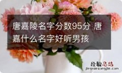 唐嘉陵名字分数95分 唐嘉什么名字好听男孩