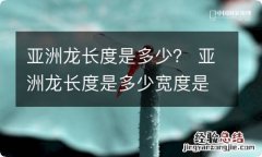 亚洲龙长度是多少？ 亚洲龙长度是多少宽度是多少