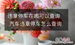 违章停车在哪可以查询 汽车违章停车怎么查询