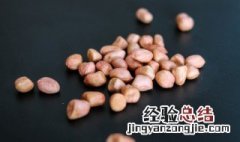 花生米能否冷冻保存 花生米可以冷冻储存吗