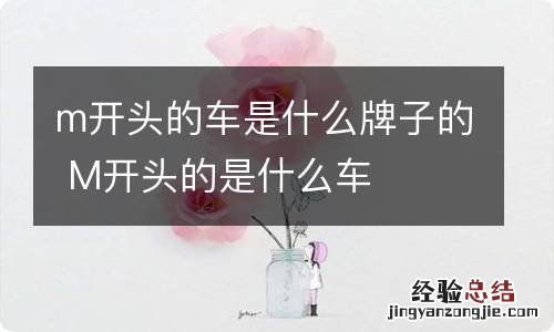 m开头的车是什么牌子的 M开头的是什么车