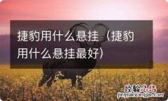 捷豹用什么悬挂最好 捷豹用什么悬挂