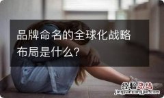 品牌命名的全球化战略布局是什么？