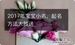 2017年宝宝小名，起名方法大放送