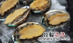 鲍鱼可以放冰箱冷冻吗 鲍鱼能冻冰箱吗