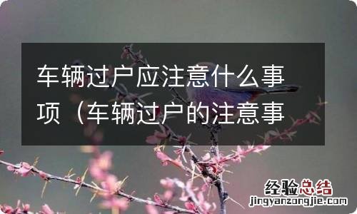 车辆过户的注意事项 车辆过户应注意什么事项