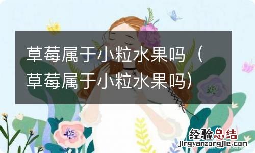 草莓属于小粒水果吗 草莓属于小粒水果吗