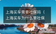 上海买车为什么要社保 上海买车需要社保吗