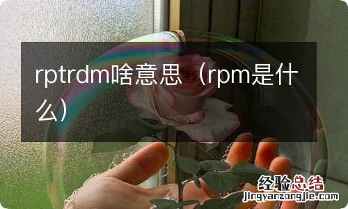 rpm是什么 rptrdm啥意思