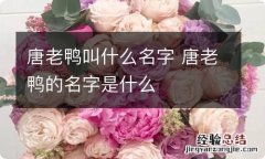 唐老鸭叫什么名字 唐老鸭的名字是什么