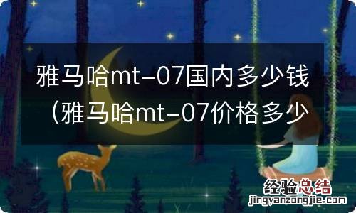 雅马哈mt-07价格多少 雅马哈mt-07国内多少钱