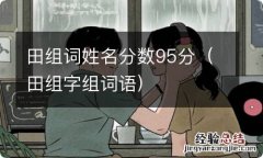 田组字组词语 田组词姓名分数95分