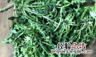 荠菜如何长期保存 荠菜哪三种人不能吃