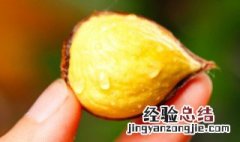 板栗冷冻后能不能吃 冷冻后又解冻的板栗可以吃吗