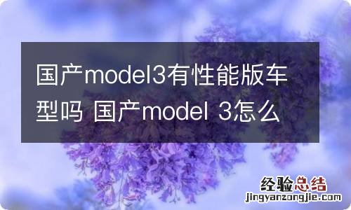 国产model3有性能版车型吗 国产model 3怎么样