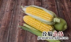 玉米种植的方法怎么种的 玉米种植方法是什么