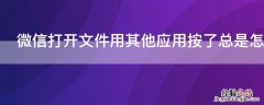 微信打开文件用其他应用按了总是怎么办