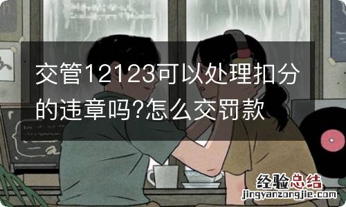 交管12123可以处理扣分的违章吗?怎么交罚款