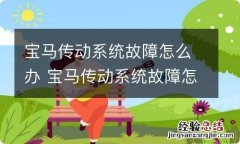 宝马传动系统故障怎么办 宝马传动系统故障怎么办车抖