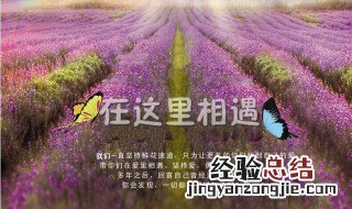 520送给老公的生日祝福语 520送给老公的生日祝福语简短