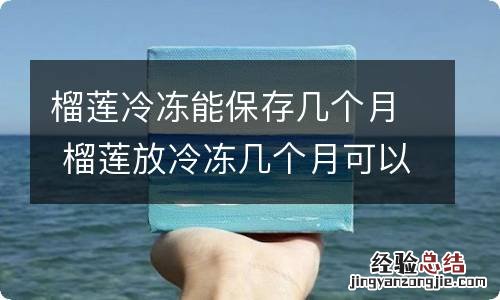 榴莲冷冻能保存几个月 榴莲放冷冻几个月可以吃吗