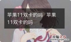 苹果11双卡的吗苹果11双卡的吗