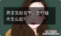 男宝宝起名字，五行缺木怎么起？