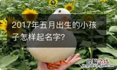 2017年五月出生的小孩子怎样起名字？