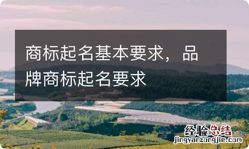 商标起名基本要求,品牌商标起名要求