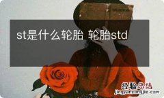 st是什么轮胎 轮胎std