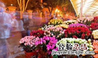 玫瑰花多少朵的寓意 玫瑰花多少朵有什么寓意