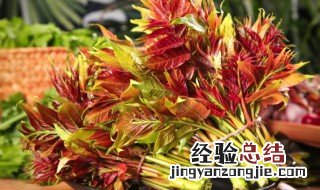 香椿芽要焯水吗 香椿芽要不要焯水