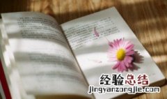 520表白语言,简短 520表白语言