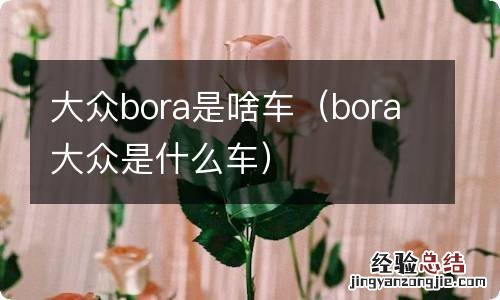 bora大众是什么车 大众bora是啥车