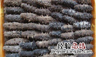 怎么样的海参才是好的 什么样的海参质量最好