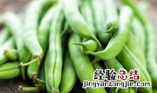 四季豆里有虫怎么办 四季豆里有虫的解决方法