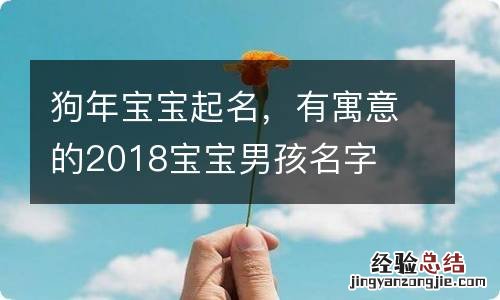 狗年宝宝起名，有寓意的2018宝宝男孩名字