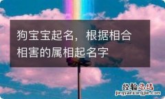 狗宝宝起名，根据相合相害的属相起名字