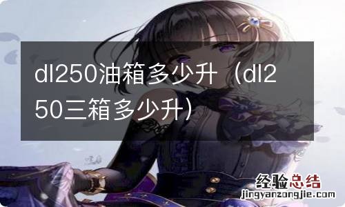 dl250三箱多少升 dl250油箱多少升
