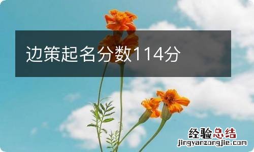 边策起名分数114分