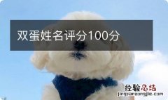 双蛋姓名评分100分