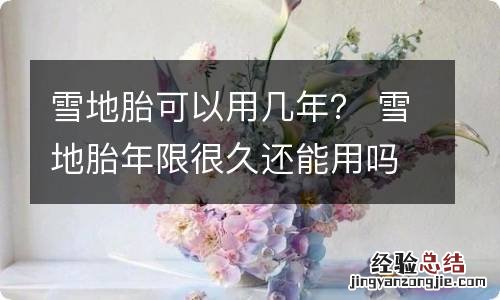 雪地胎可以用几年？ 雪地胎年限很久还能用吗