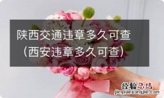 西安违章多久可查 陕西交通违章多久可查