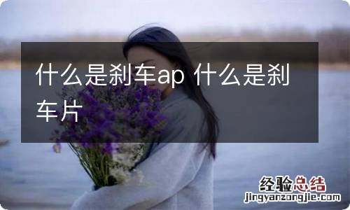 什么是刹车ap 什么是刹车片