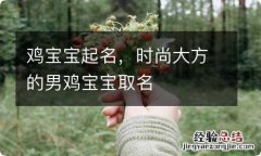 鸡宝宝起名，时尚大方的男鸡宝宝取名