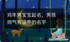 鸡年男宝宝起名，男孩帅气有涵养的名字